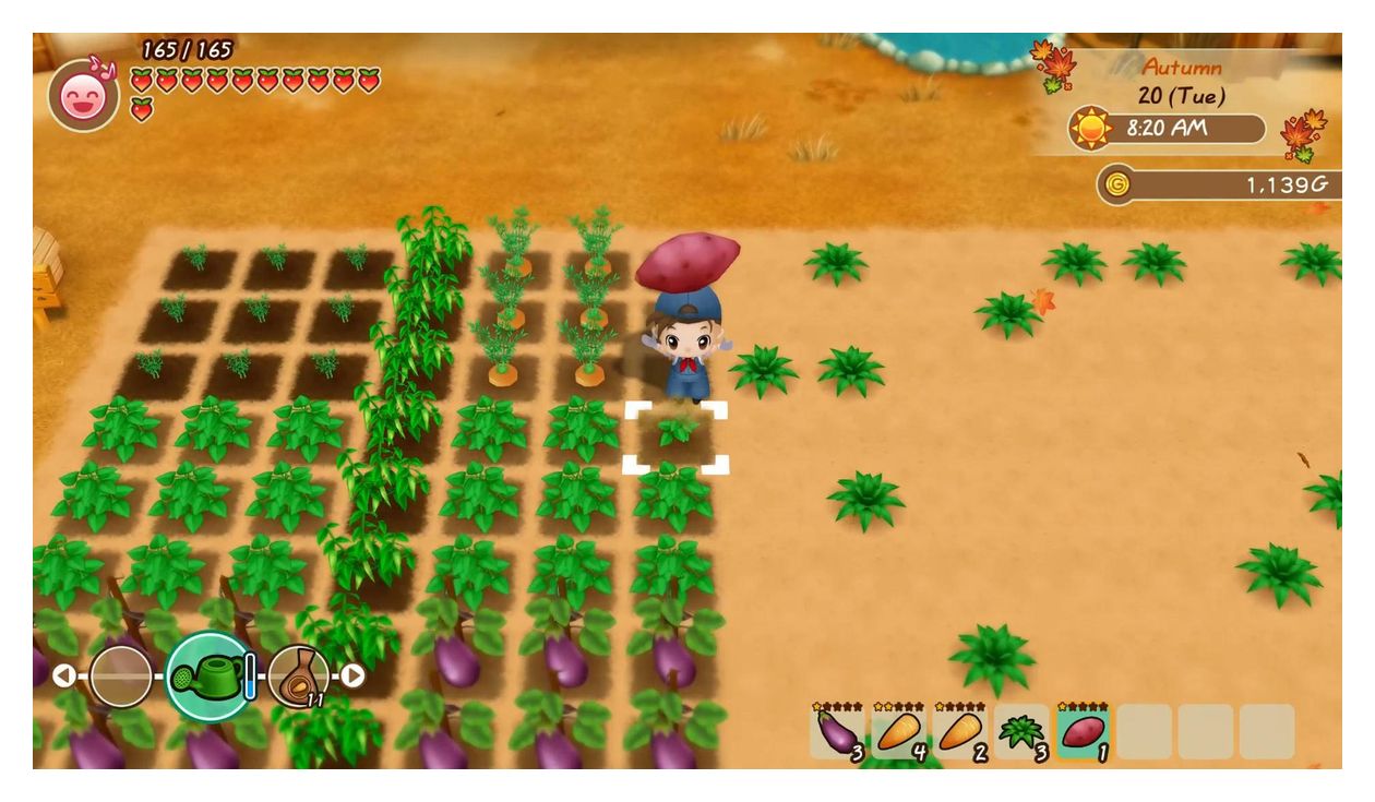 Story of Seasons: Friends of Mineral Town (PlayStation 4) 