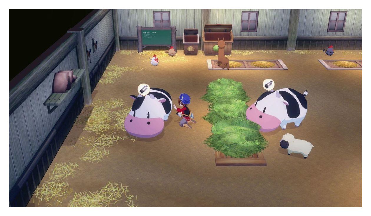 Story of Seasons: Grand Bazaar (Nintendo Switch) 
