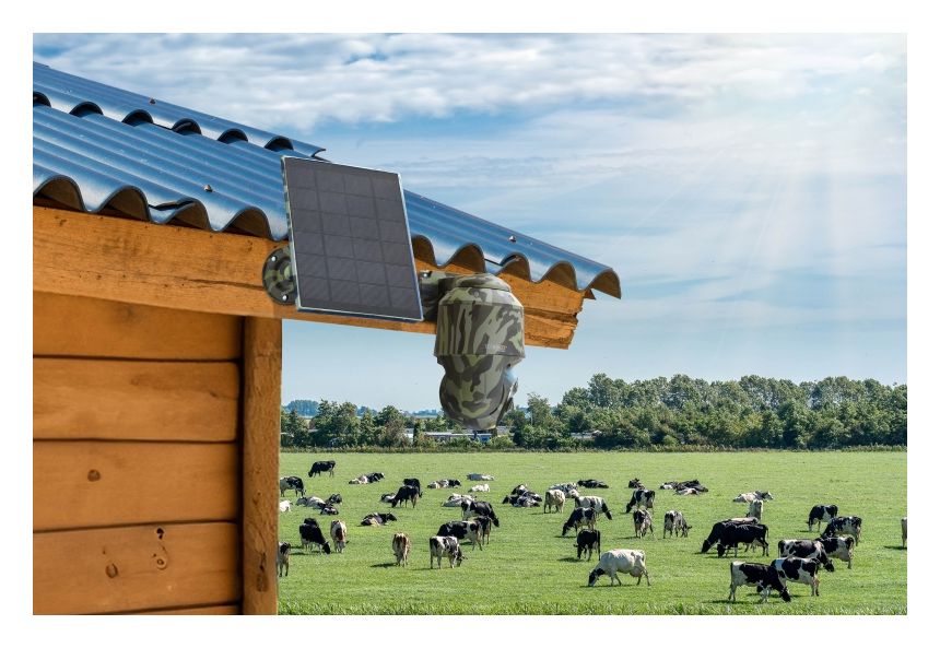TX-290 4G PT Dome mit Solarpanel 2560 x 1440 Pixel IP-Sicherheitskamera IP65 4G Außen Nachtsicht  (Schwarz, Grün) 