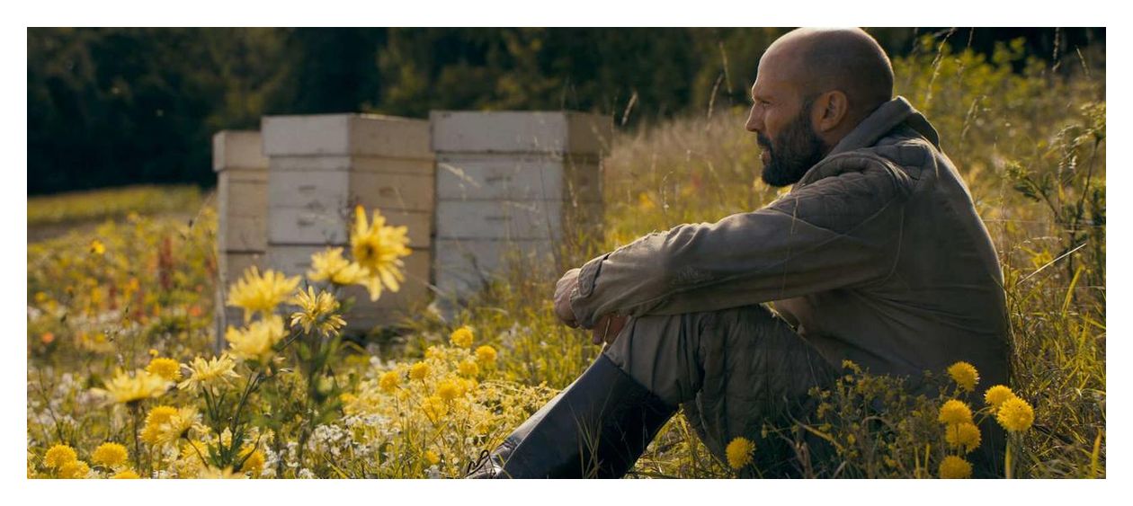 The Beekeeper (DVD) 