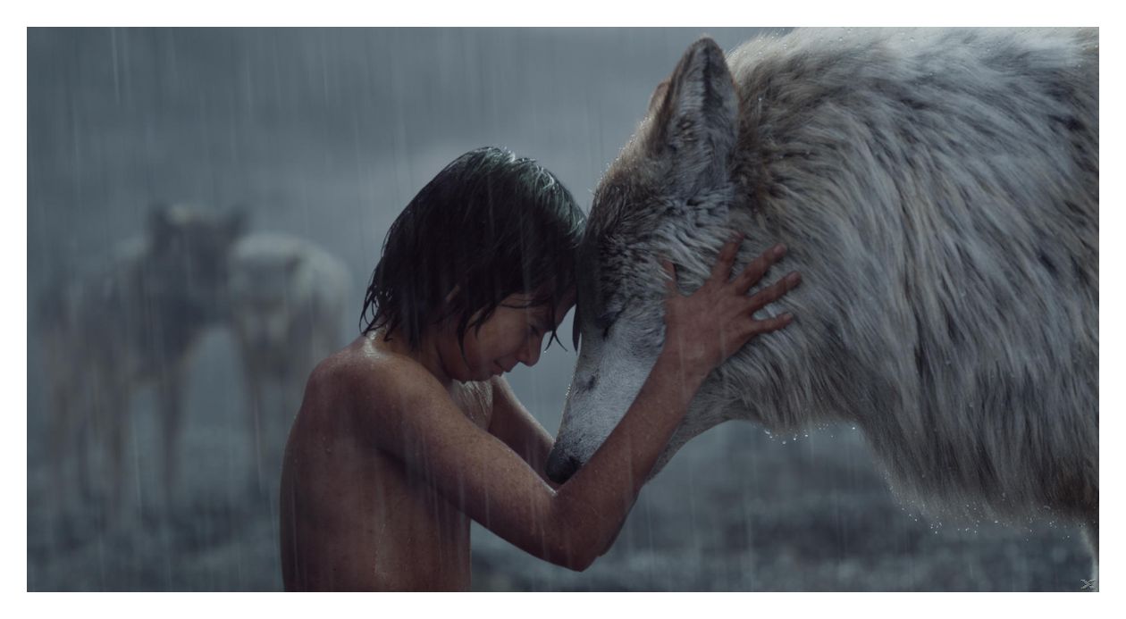 The Jungle Book (DVD) 