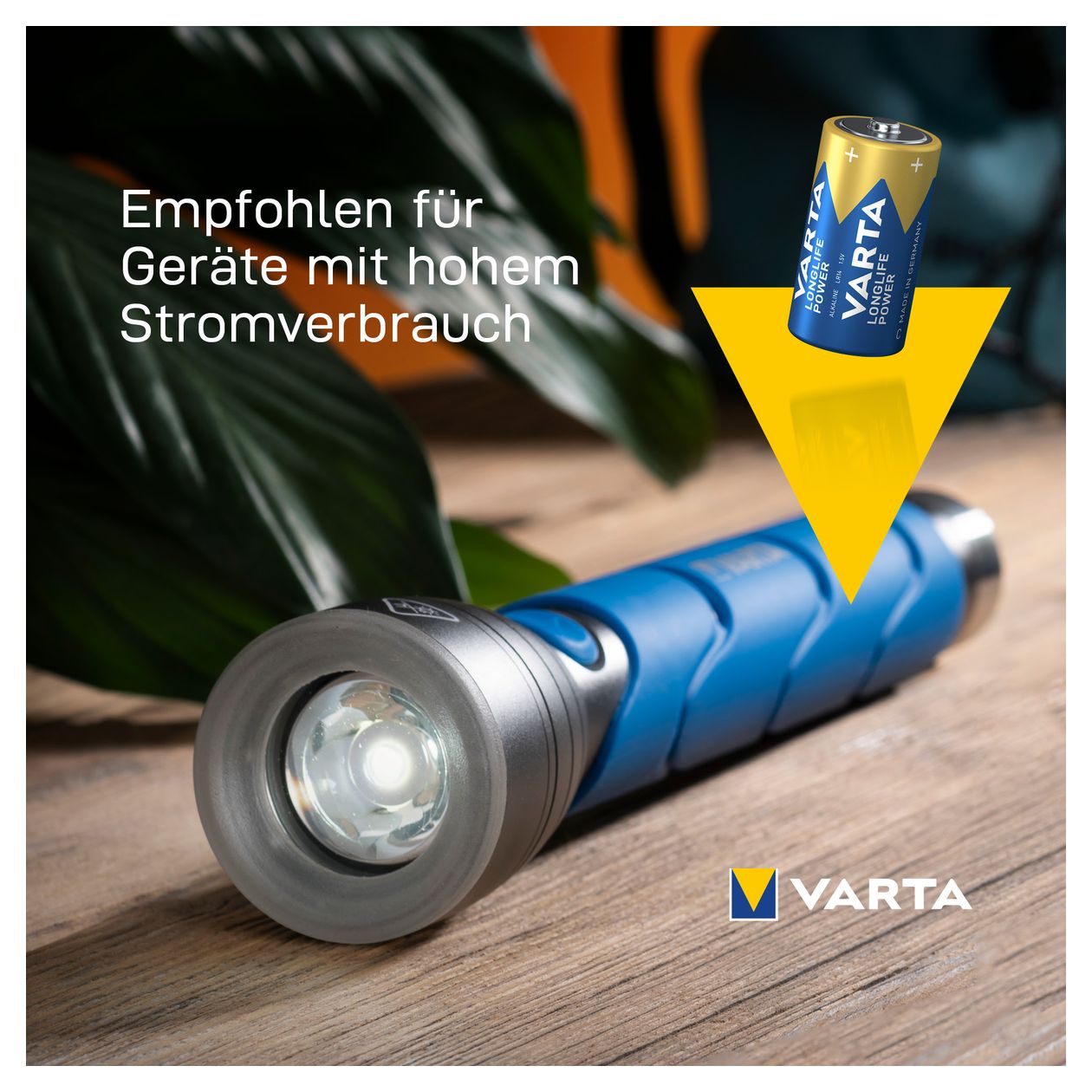 LONGLIFE Power, Alkaline Batterie, C, Baby, LR14, 2er Pack, Made in Germany 