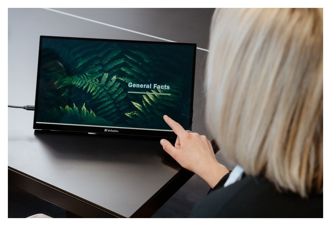 PMT-15 Full HD Monitor 39,6 cm (15.6 Zoll) 16:9 6 ms 250 cd/m²  (Schwarz) 