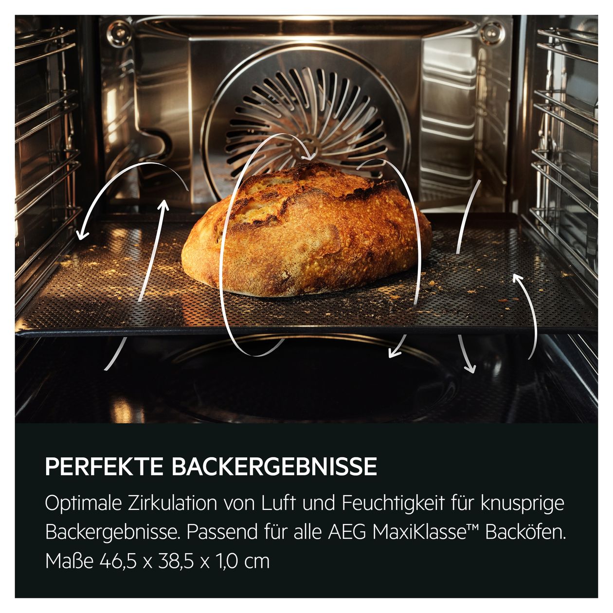 Serie 9000 TP9SK821T Einbaubackofen kompakt Dampfgaren AutoClean 