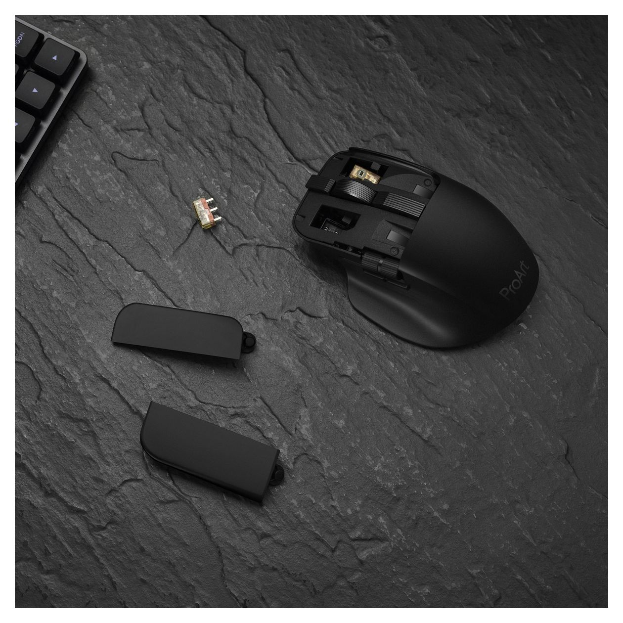 ProArt Mouse MD301 