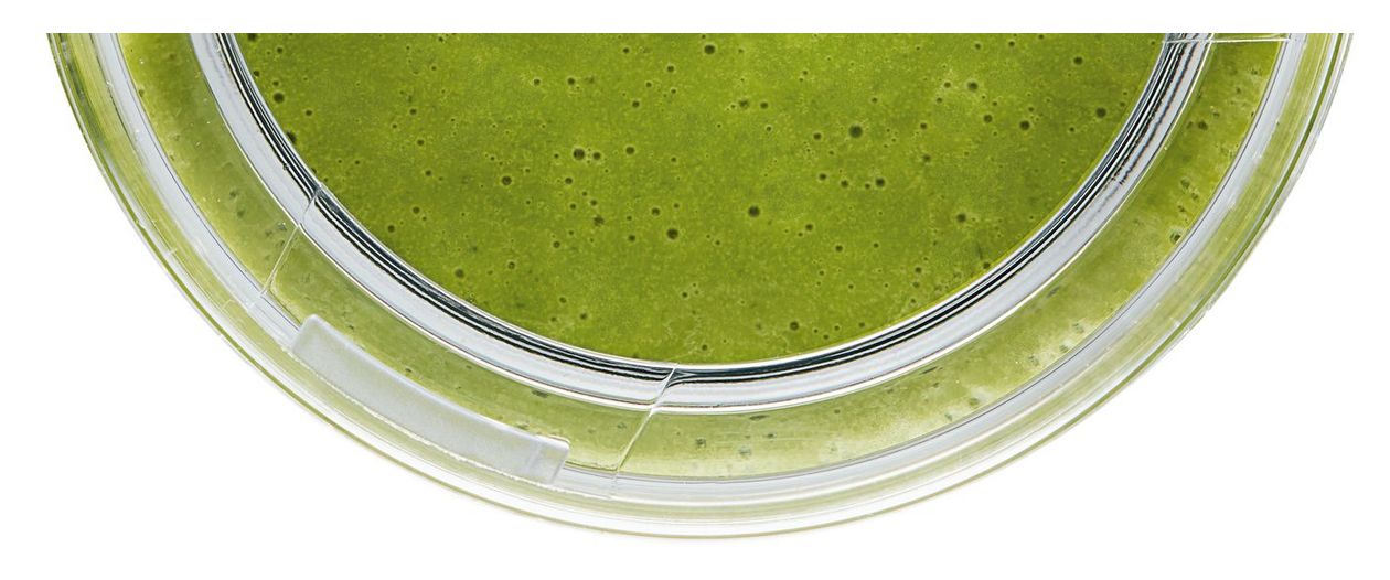MMZV0BT1 VitaMaxx Trinkflasche Tritan (Schwarz, Transparent) 