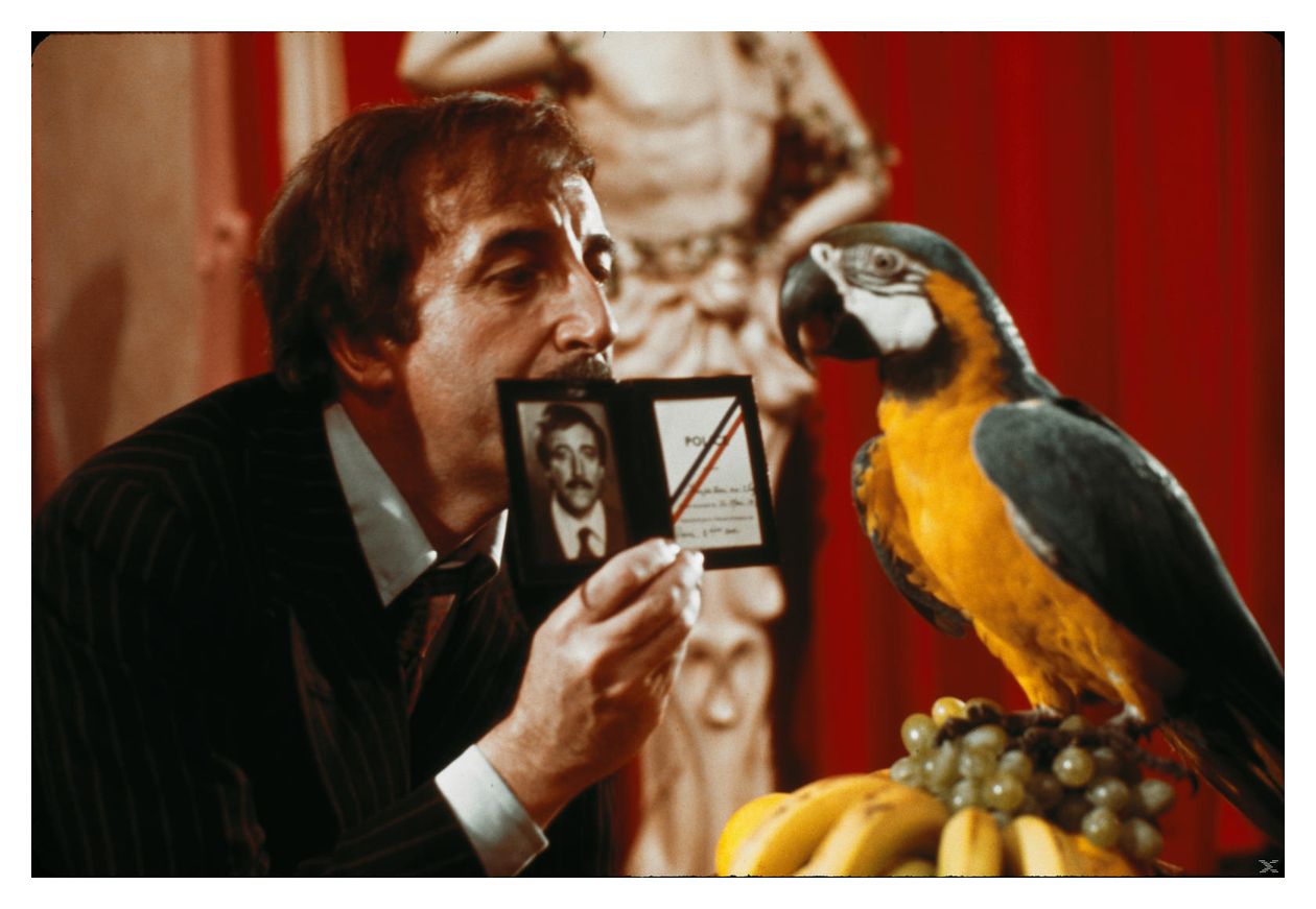 Der rosarote Panther – Peter Sellers Collection (DVD) 