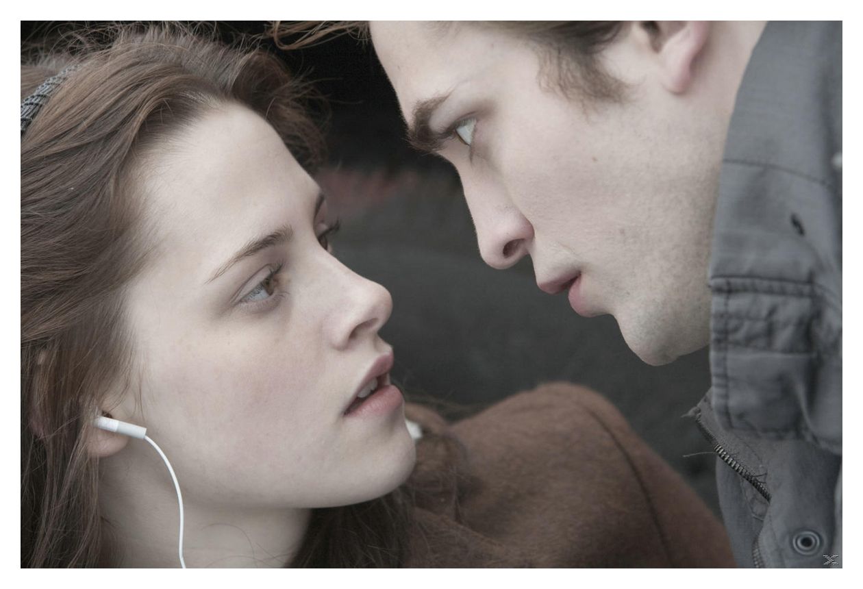 Die Twilight-Saga Film Collection (DVD) 