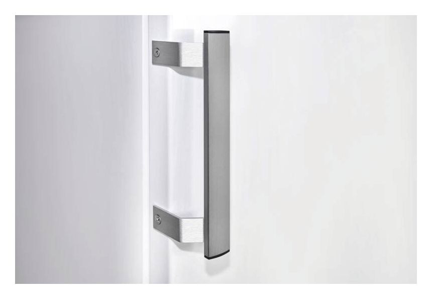 GS271-NF-H-040D 204 l Gefrierschrank 176 kWh Jahr NoFrost  (Weiß) 