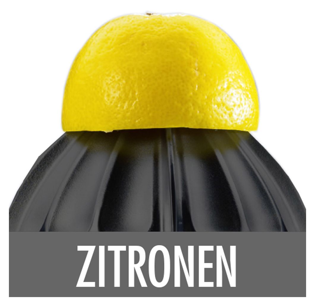41138 Home Culture Zitruspresse 100 W  (Schwarz, Edelstahl) 