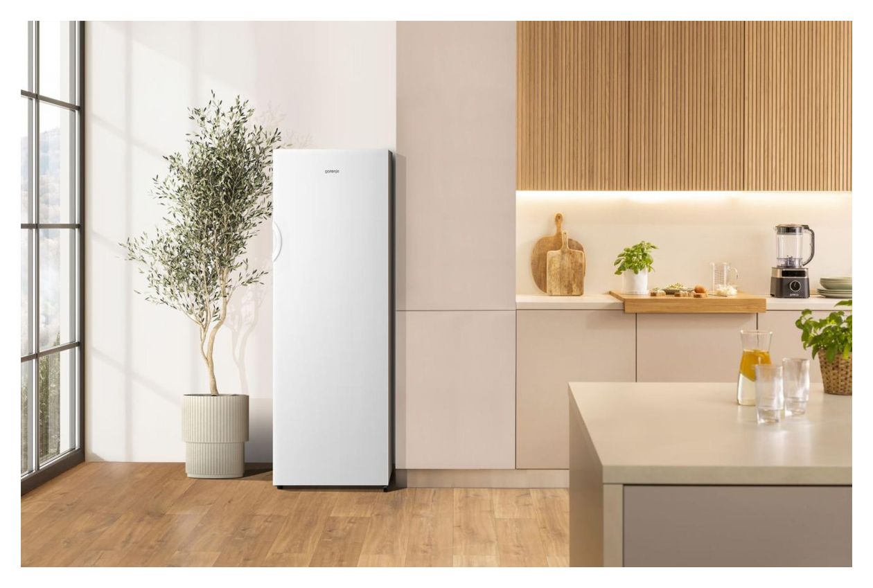 FN4172CW 194 l Gefrierschrank 219 kWh Jahr NoFrost  (Weiß) 