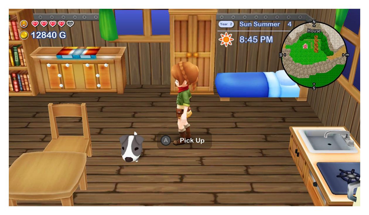 Harvest Moon The Lost Valley & Skytree Village (Nintendo Switch) 