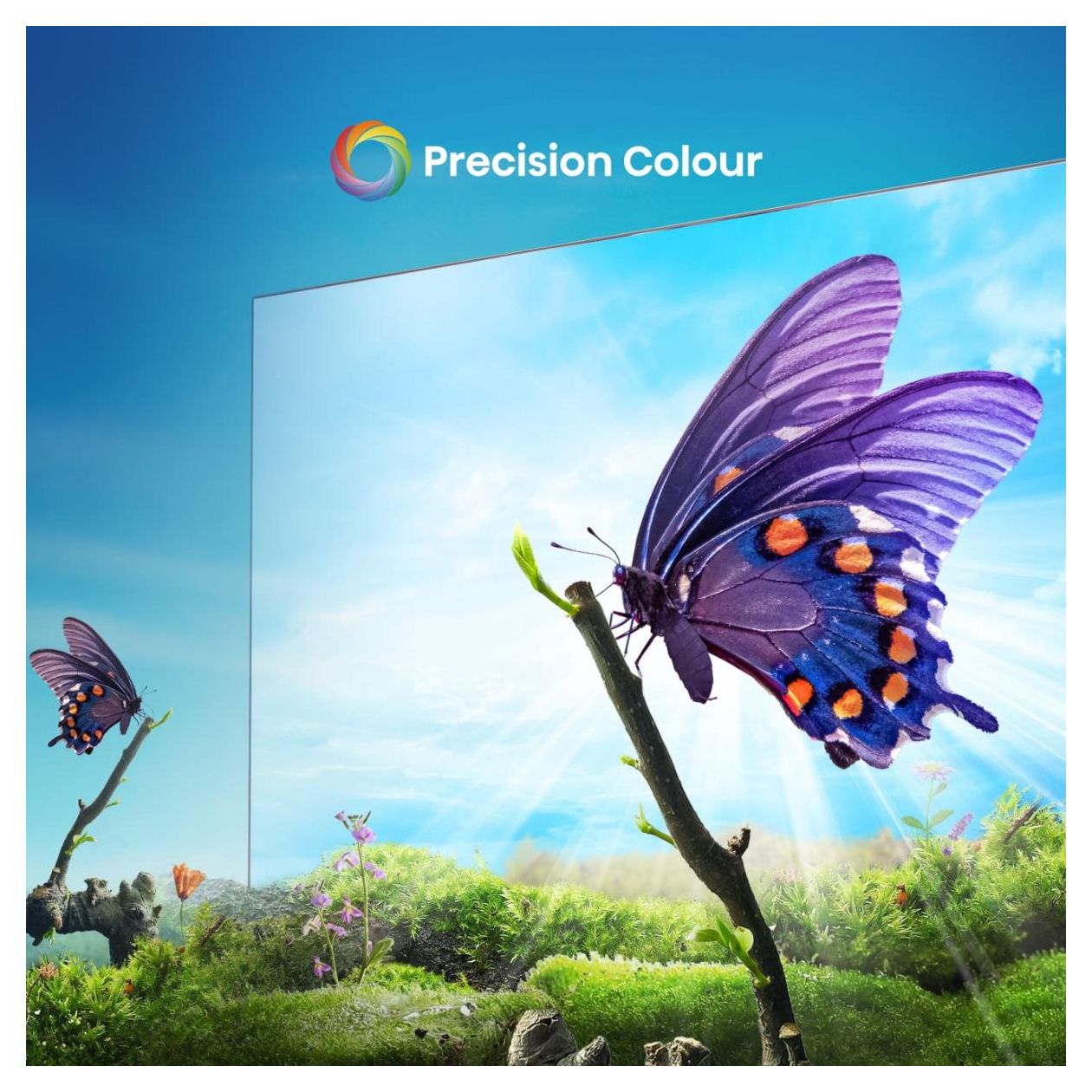 43A6N LED 109,2 cm (43 Zoll) Fernseher 4K Ultra HD VESA 200 x 300 mm 