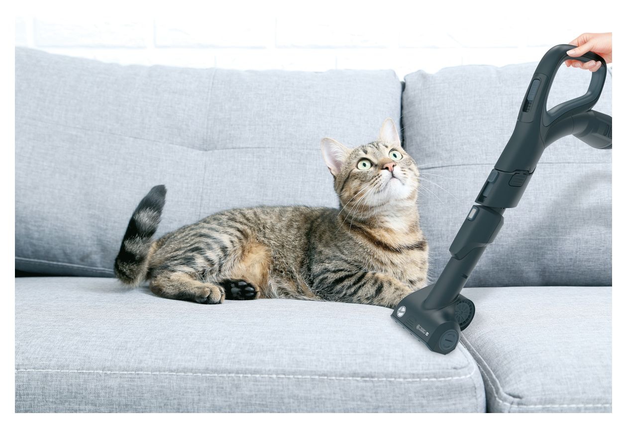 HP720PET Bodenstaubsauger Beutellos 850 W HEPA  (Schwarz) 