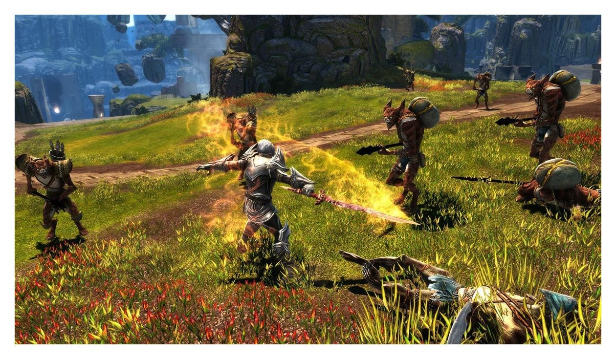 Kingdoms of Amalur Re-Reckoning (Nintendo Switch) 