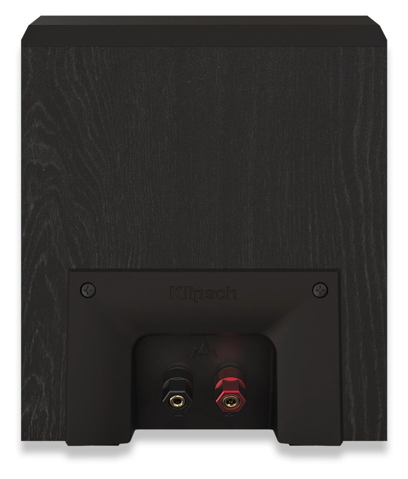 RP-500SA II 75 W Lautsprecher  (Schwarz) 