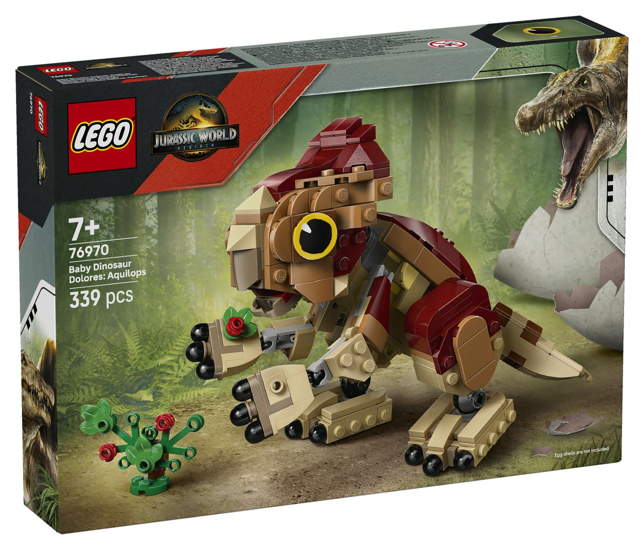 Babydinosaurier Dolores: Aquilops 