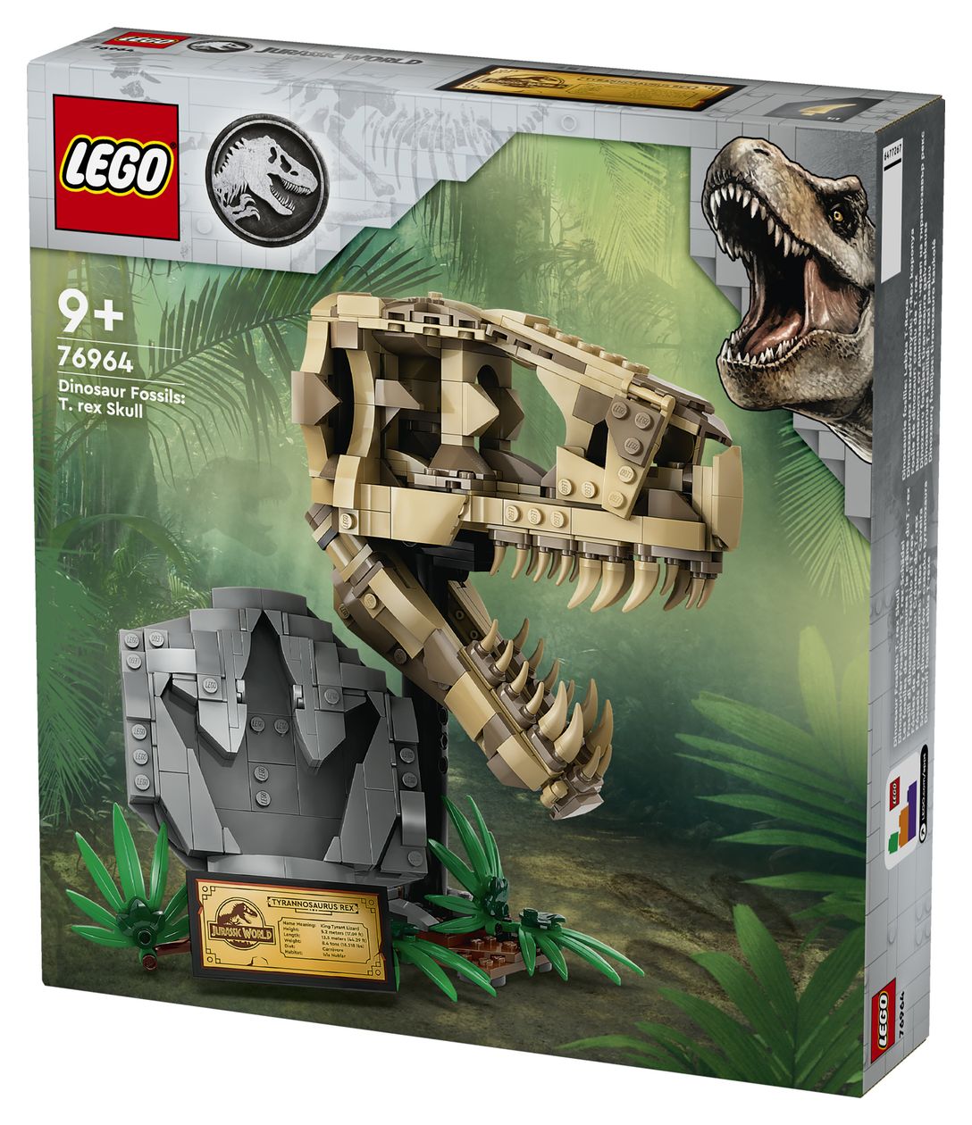 Dinosaurier-Fossilien: T.-rex-Kopf 