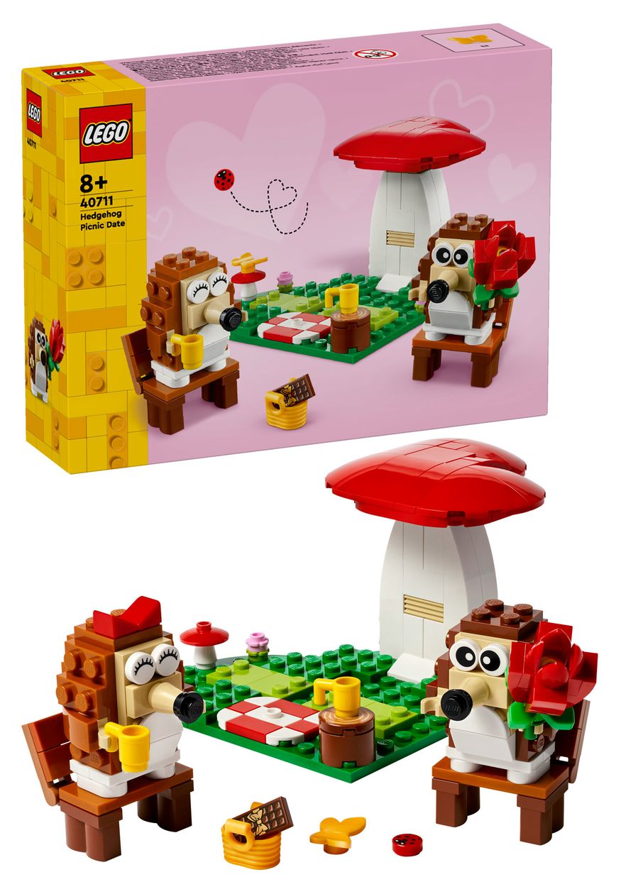 Igel und ihr Picknick-Date 