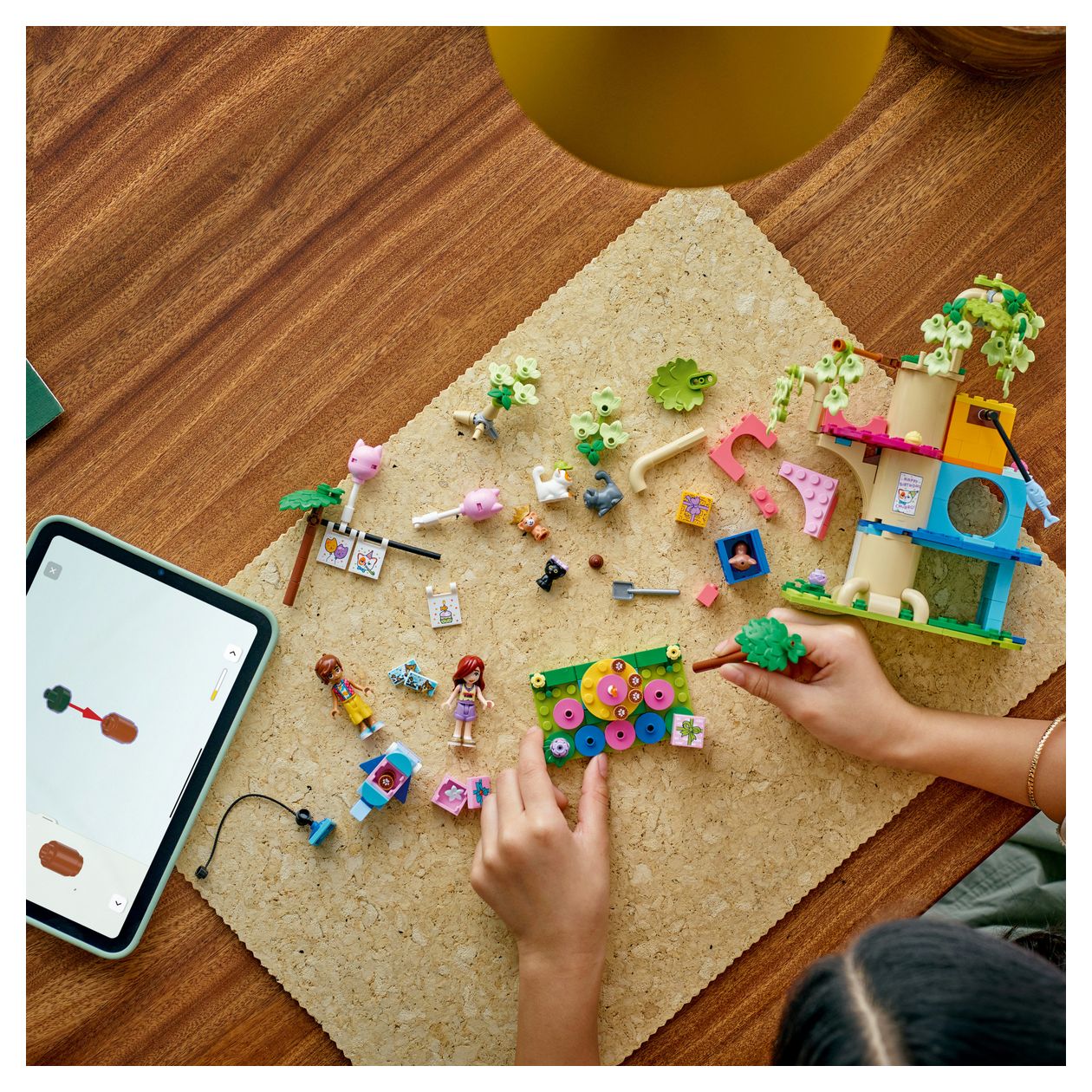 Katzengeburtstagsparty & Baumhaus 