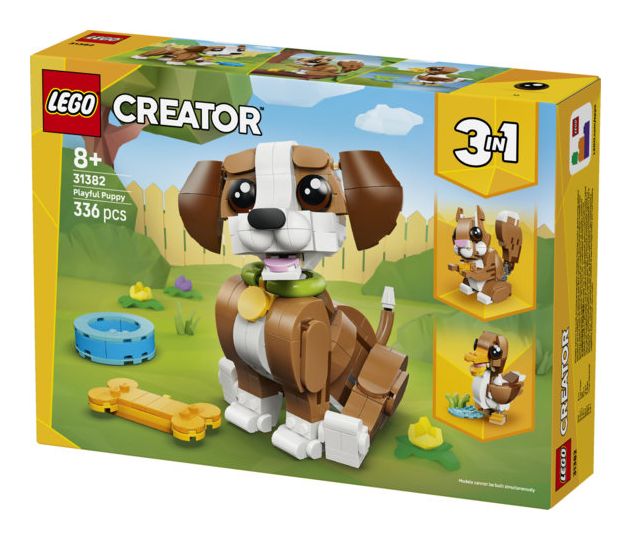 Niedliche Tiere: Verspielter Welpe 