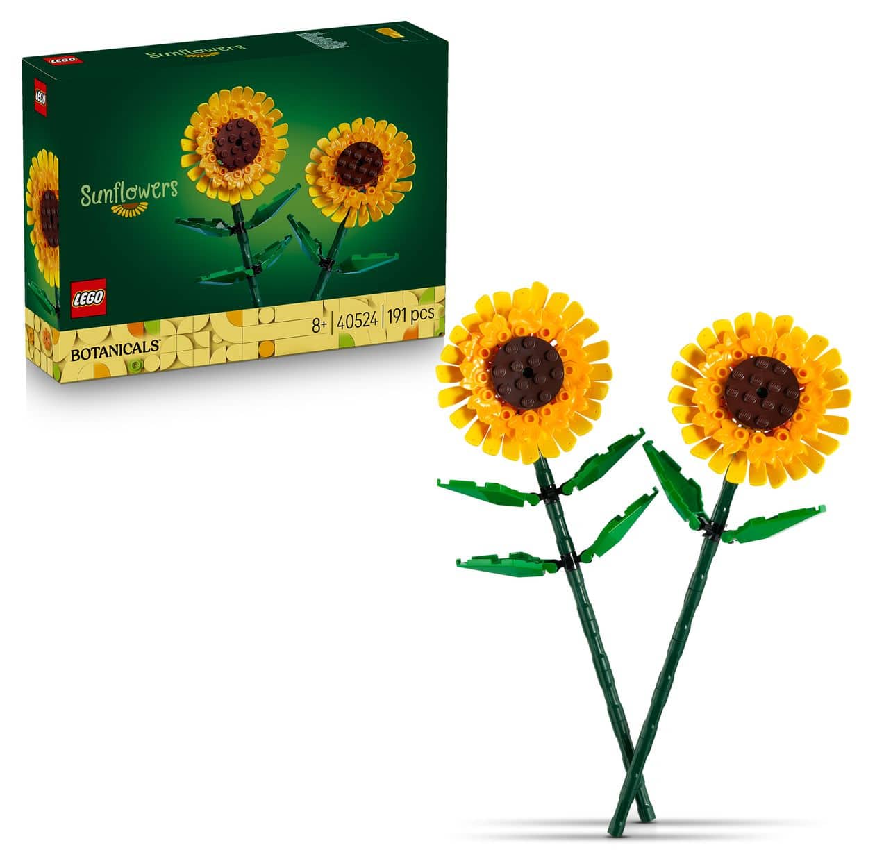 Sonnenblumen 