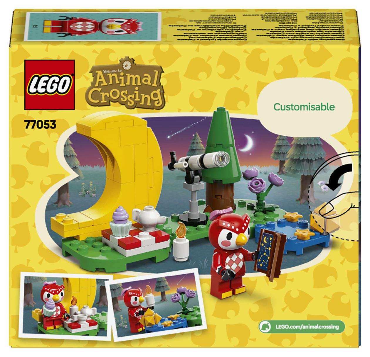 Sternbeobachtung mit Eufemia 