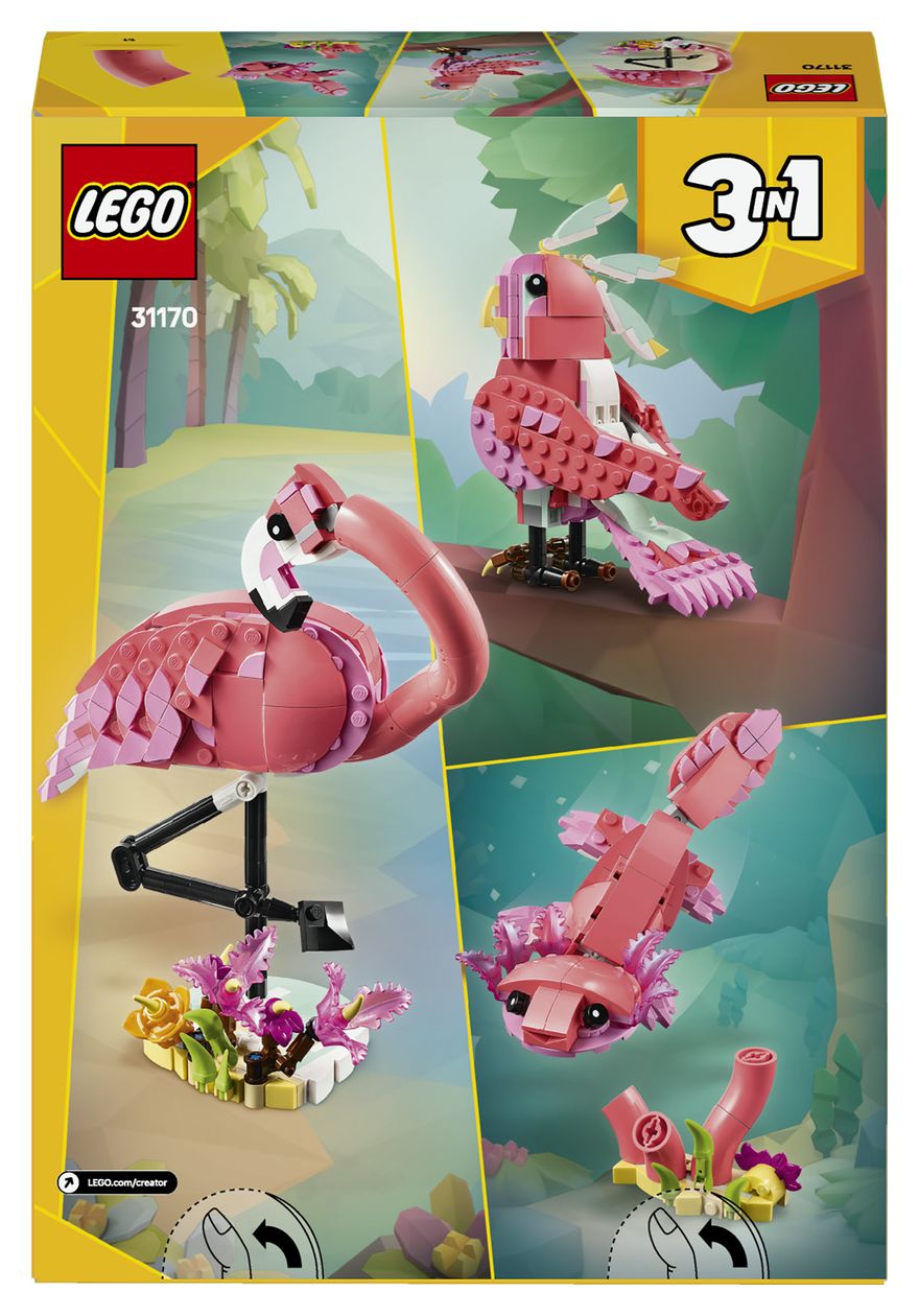 Wilde Tiere: Rosa Flamingo 