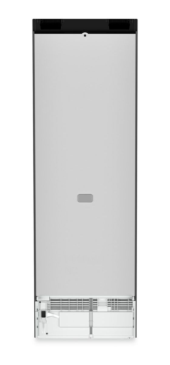 RBbsc528i-22 384 l / 384 l Kühlschrank freistehend EEK: C 107 kWh Jahr  (Schwarz, Edelstahl) 