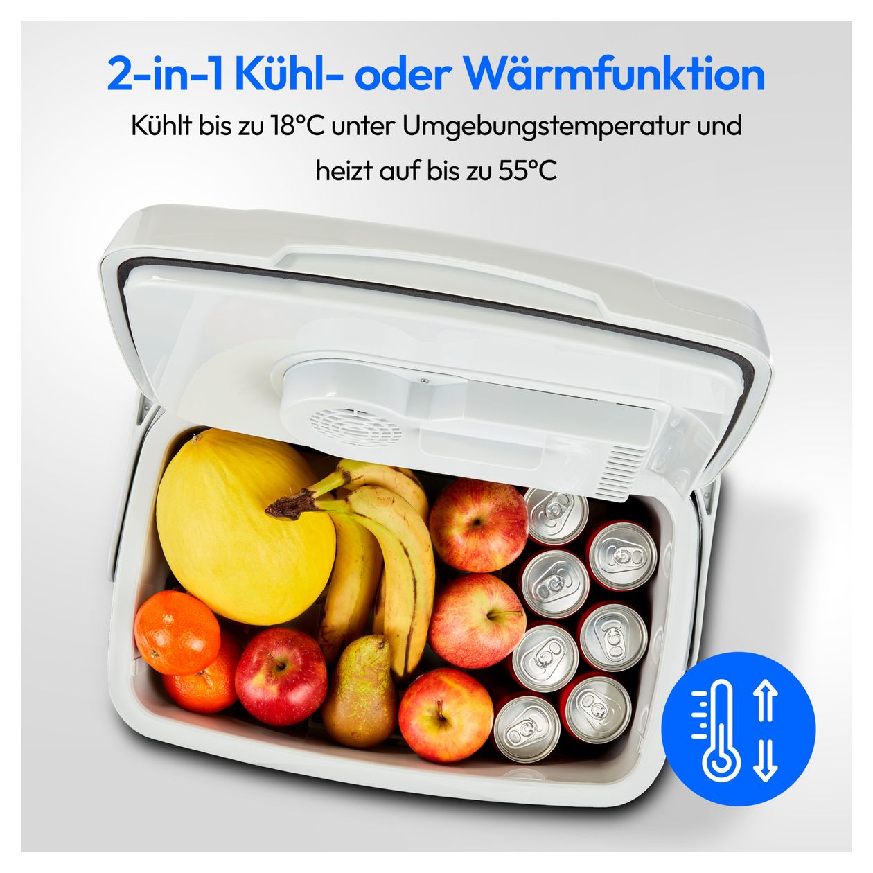 MD10735 25 l Kühlbox  (Silber) 