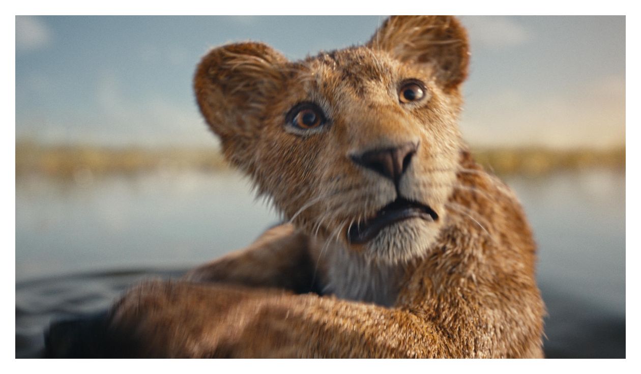 Mufasa: Der König der Löwen (DVD) 