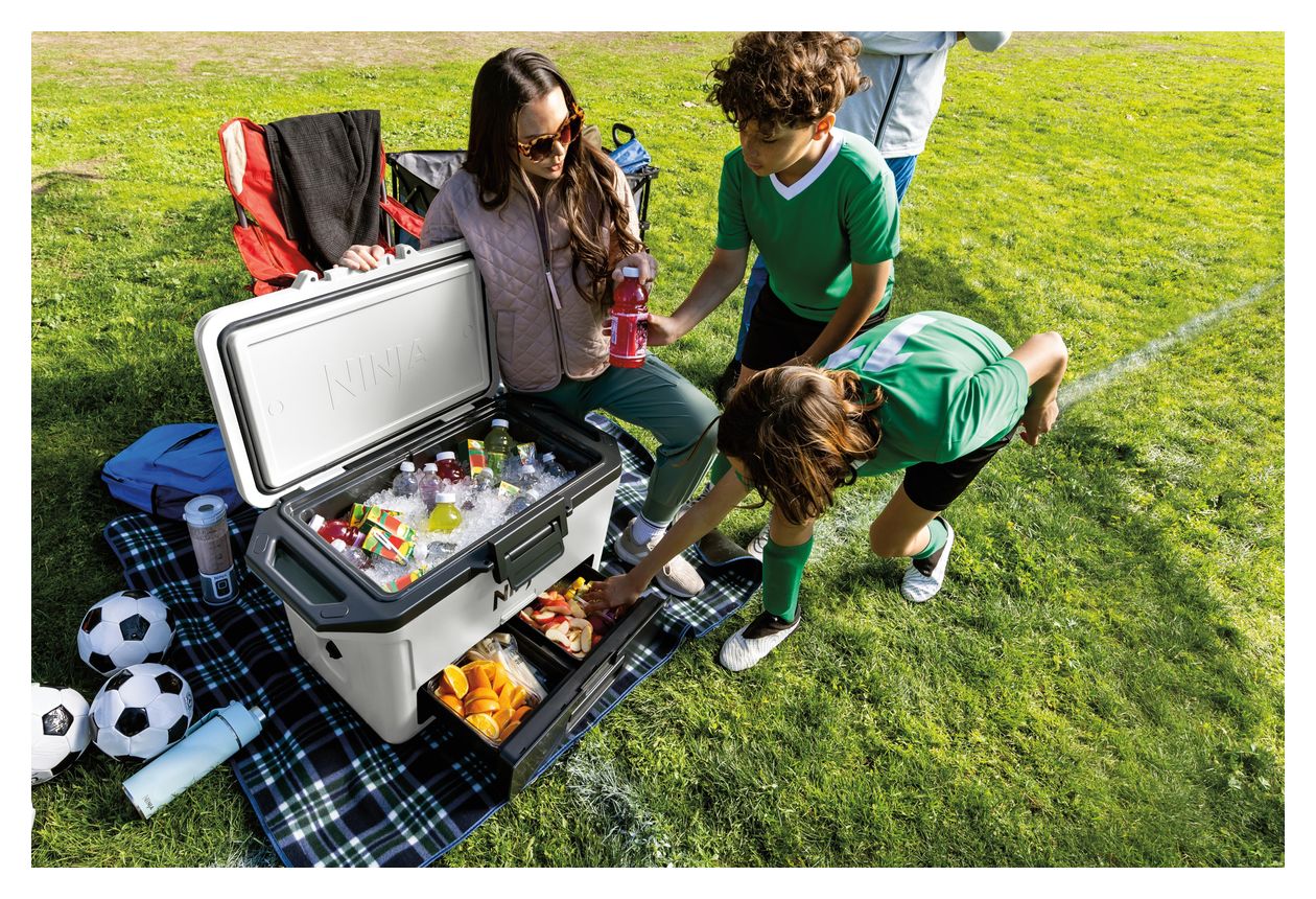 FB151EU 47 l Kühlbox  (Weiß) 
