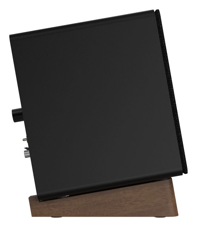 GX-10DB 30 W Bluetooth Lautsprecher  (Schwarz) 