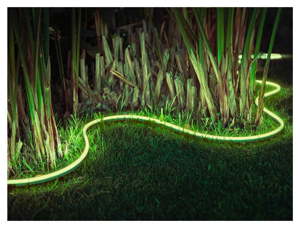 Hue White & Color Ambiance Lightstrip Outdoor LED Intelligenter Leuchtstreifen 4869,2 mm Variabel 