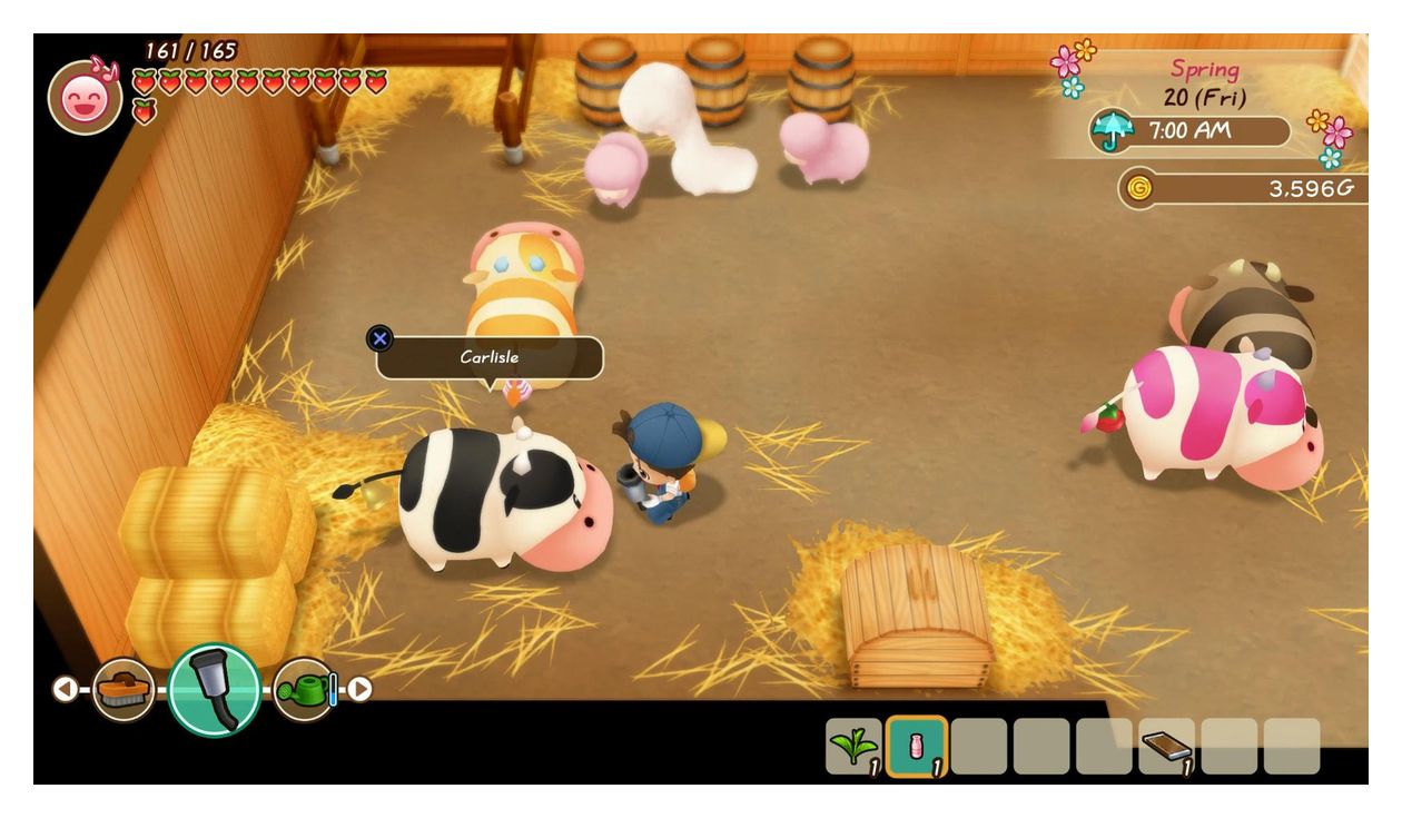 Story of Seasons: Friends of Mineral Town (PlayStation 4) 