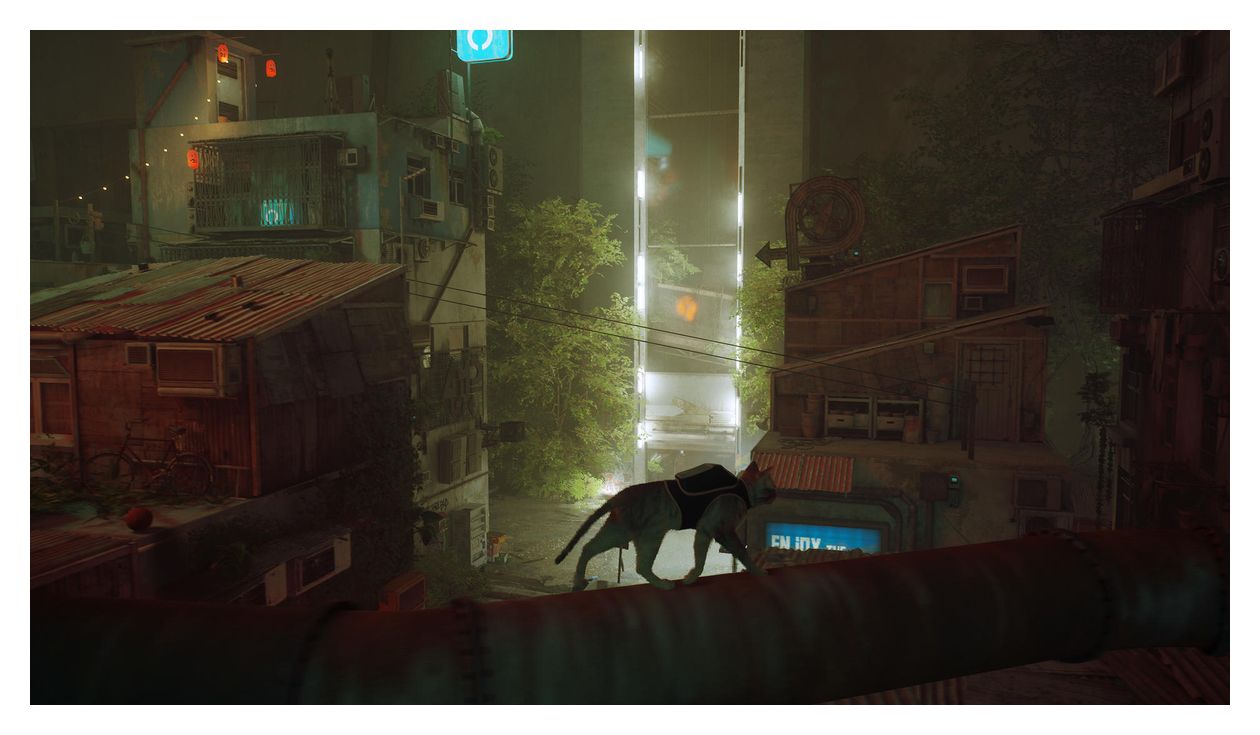 Stray (Nintendo Switch) 