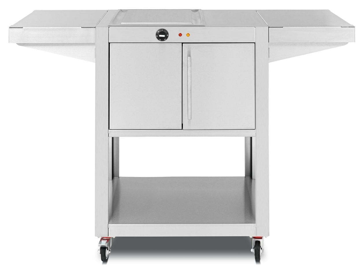 Teppinox GW2000 Basic 1 Zone(n) 2000 W mit 480 x 410 mm Fläche  (Edelstahl) 