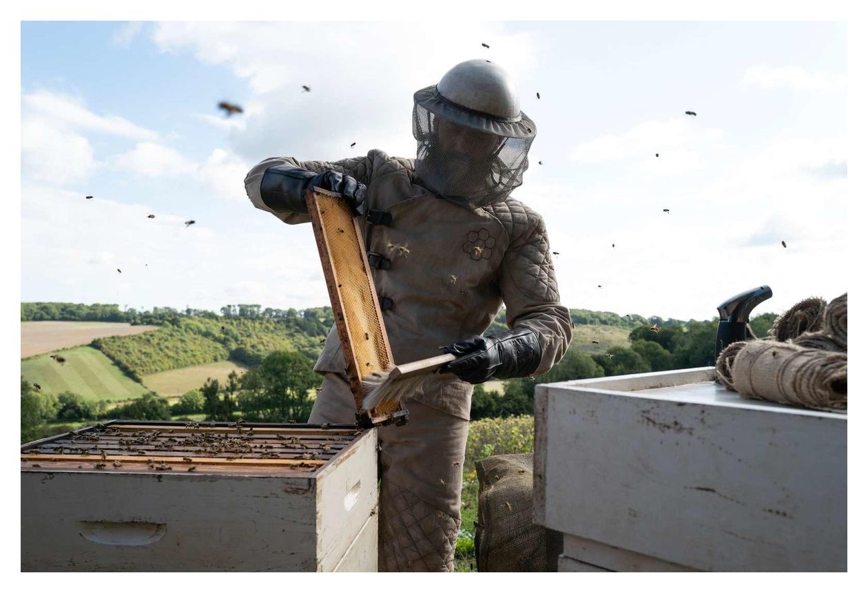 The Beekeeper (DVD) 