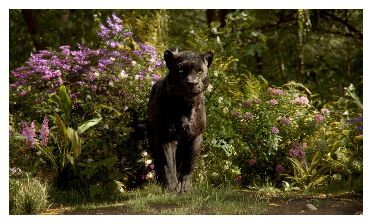 The Jungle Book (DVD) 