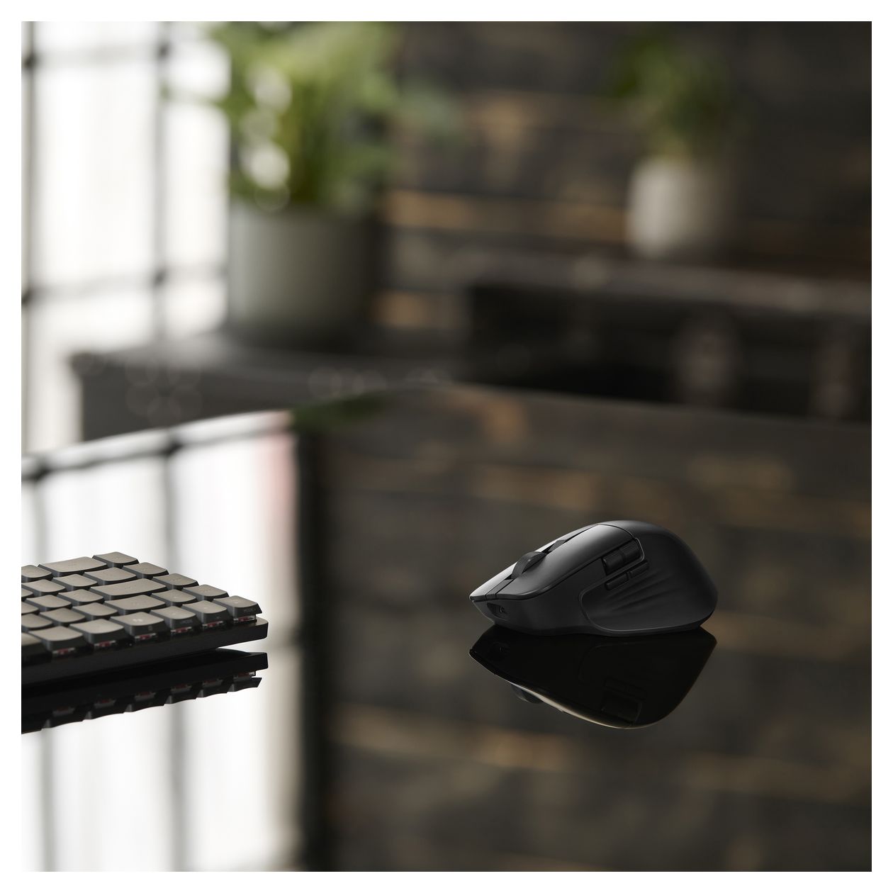 ProArt Mouse MD301 