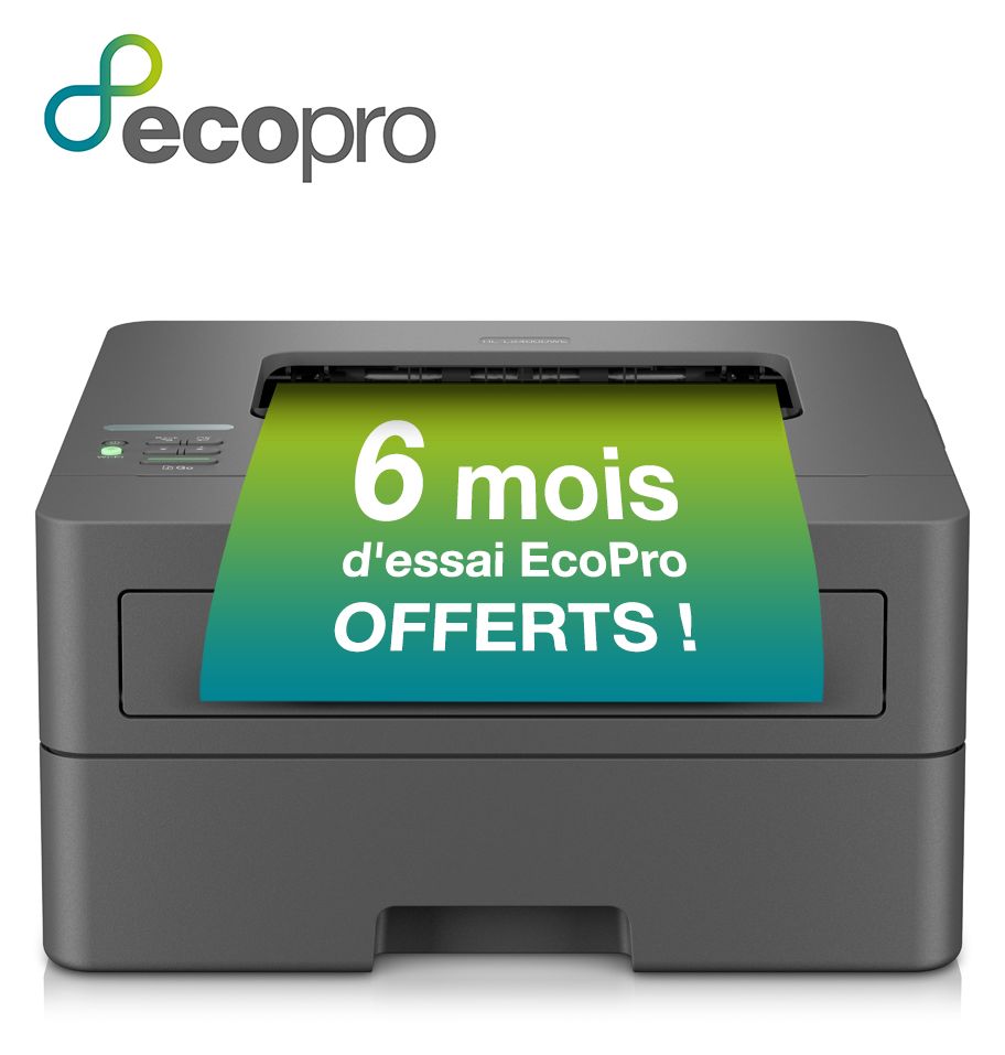 HL-L2400DWE A4 Laser Drucker 1200 x 1200 DPI 30 Seiten pro Minute 
