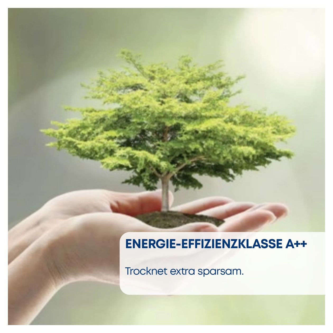 CWK3R204 Wärmepumpen Trockner Frontlader 