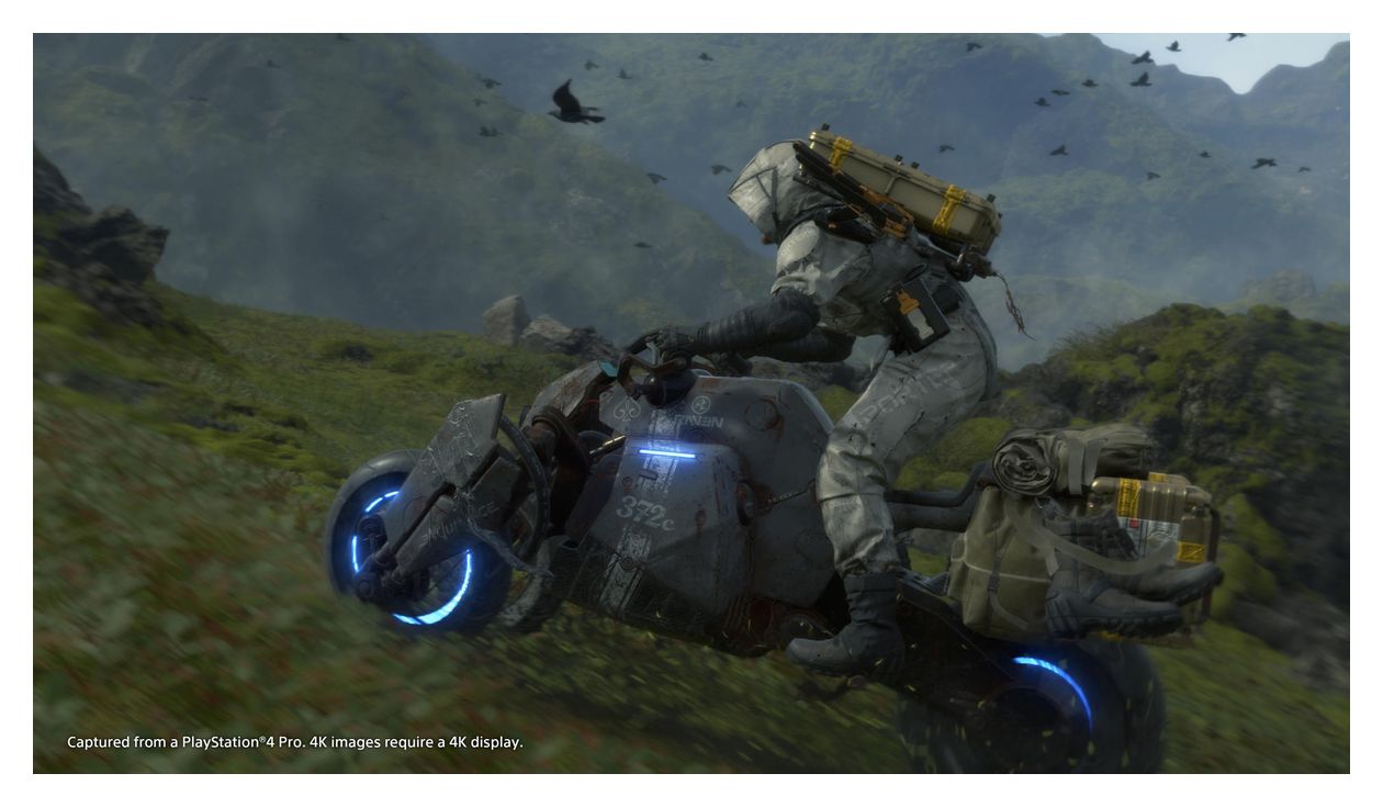 Death Stranding Special Edition (PlayStation 4) 