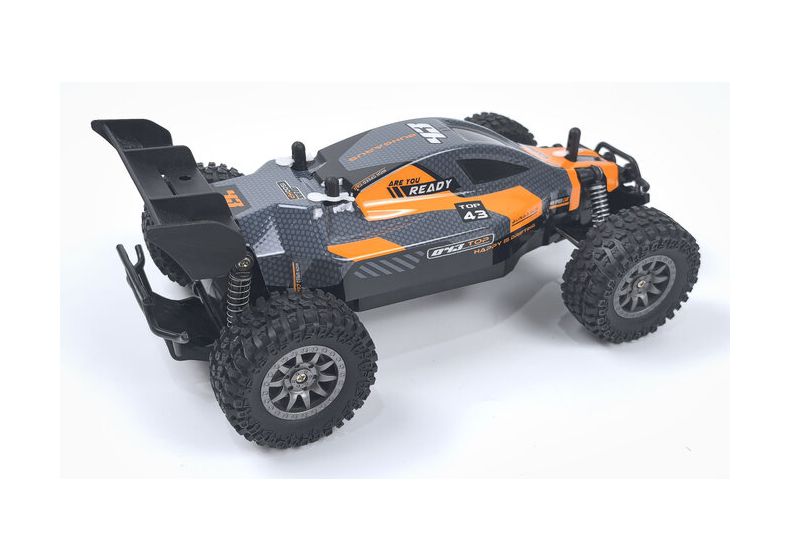 Rookie Fighter Buggy 