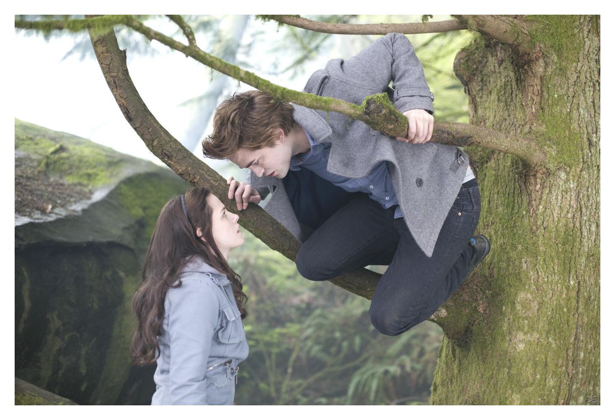 Die Twilight-Saga Film Collection (DVD) 