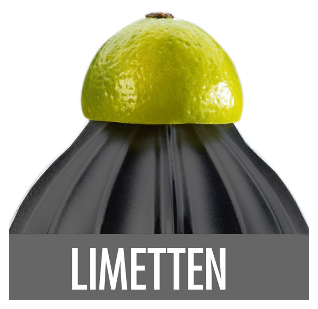 41138 Home Culture Zitruspresse 100 W  (Schwarz, Edelstahl) 