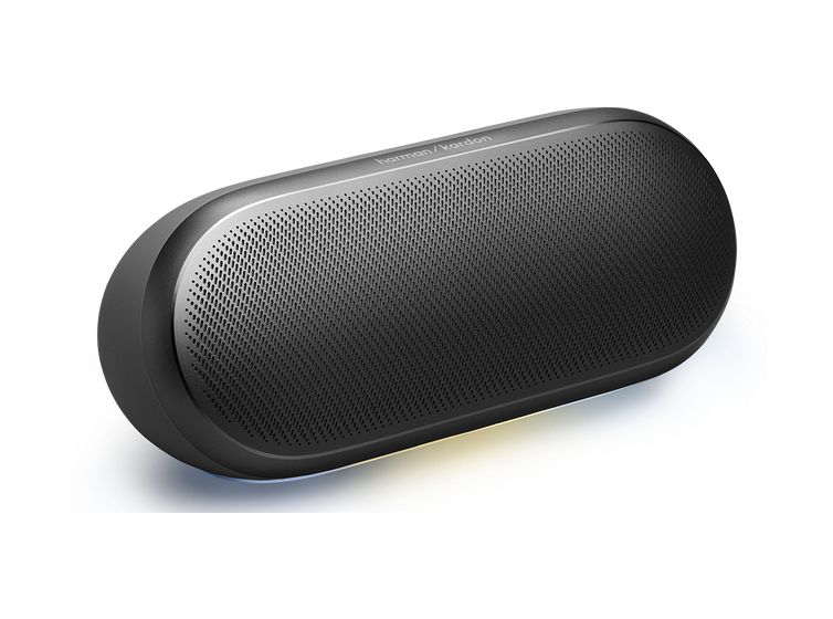 Luna 2 25 W Bluetooth Lautsprecher  (Schwarz) 