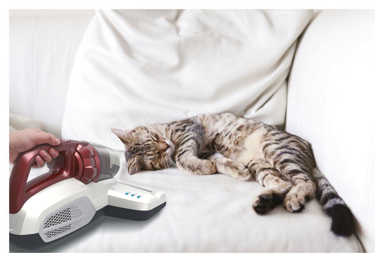 MBC500UV Milbensauger Handstaubsauger Beutellos  (Rot) 