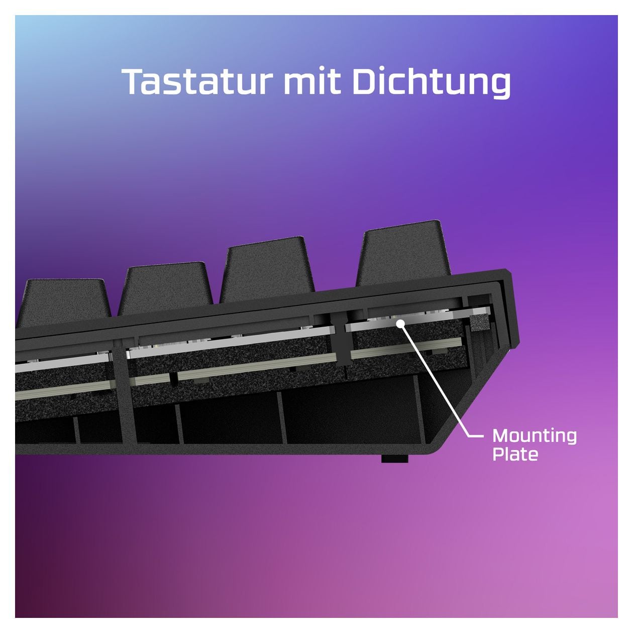 Alloy Rise 75 RGB-LED Gaming Tastatur USB  (Schwarz) 