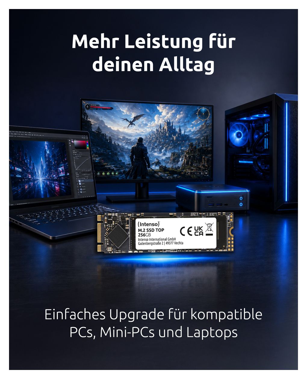 Top 256 GB SSD Serial ATA III M.2  (Anthrazit) 